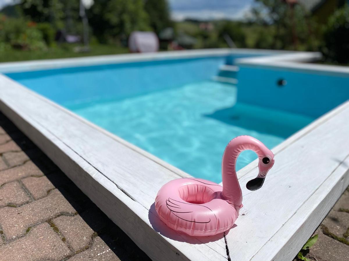 Apartamenty Adamcykowka Blisko Velo Czorsztyn! Kluszkowce Kültér fotó