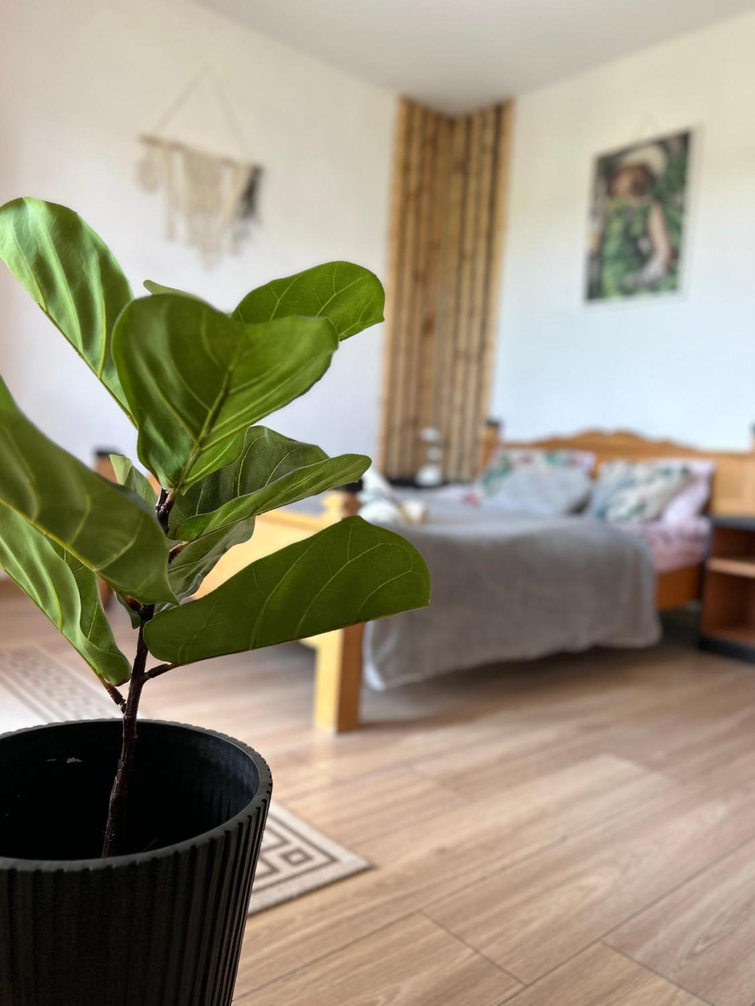 Apartamenty Adamcykowka Blisko Velo Czorsztyn! Kluszkowce Kültér fotó